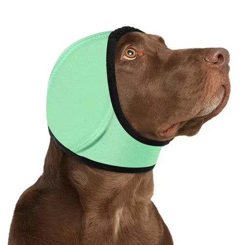 Orejeras antirruido para perros color verde, protector auditivo calmante