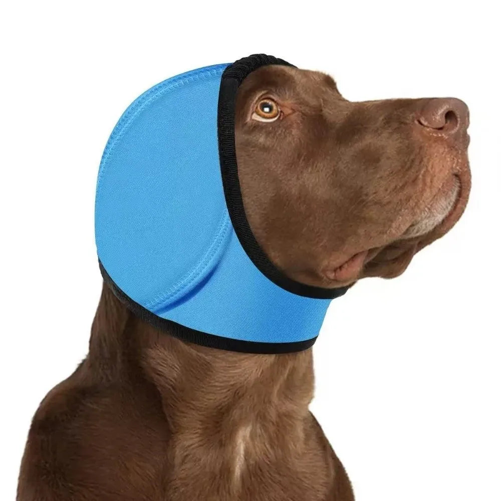 Orejeras antirruido para perros color azul puestas en un perro