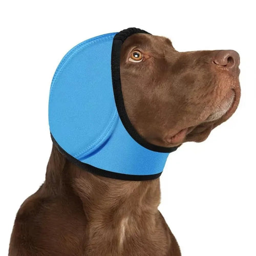 Orejeras antirruido para perros color azul puestas en un perro