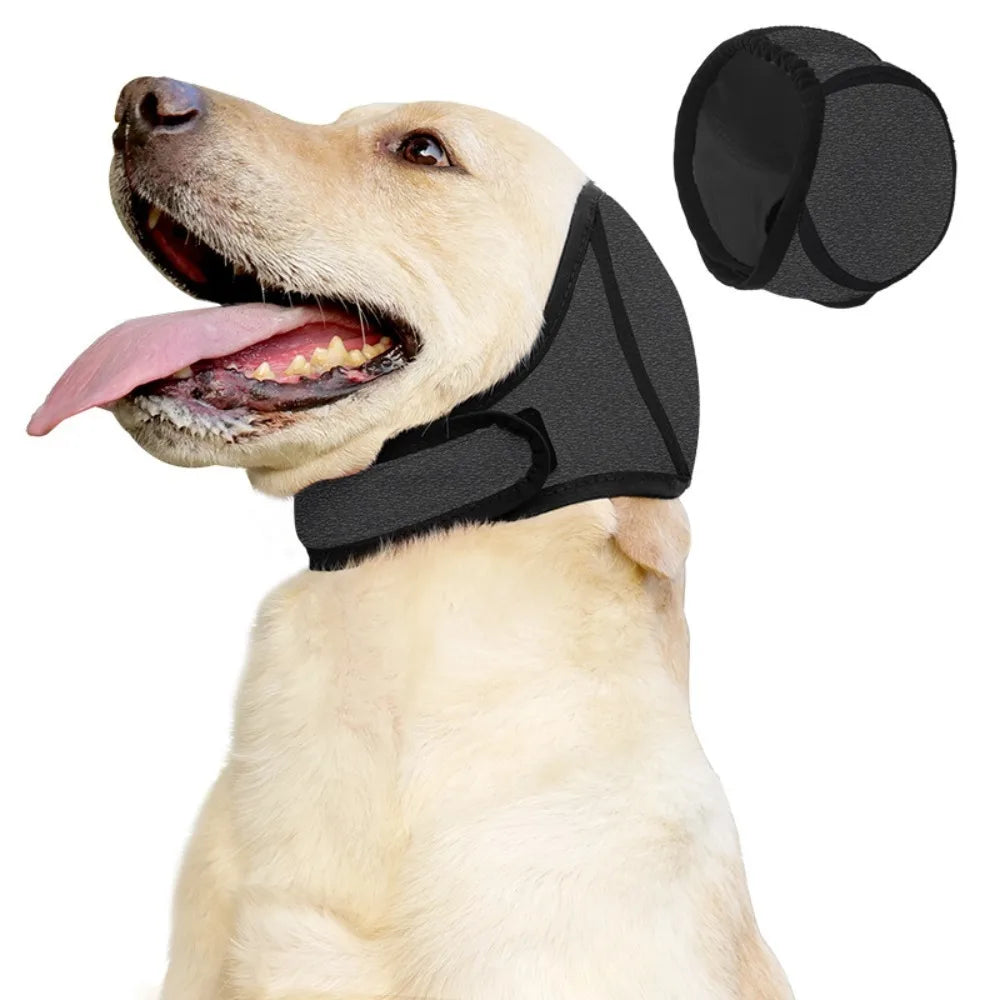 Perro con orejeras antirruido para petardos y tormentas