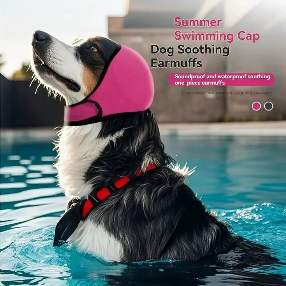 Perro nadando con orejeras impermeables que protegen sus oídos